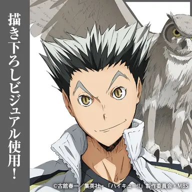 Profile image of 木兎光太郎