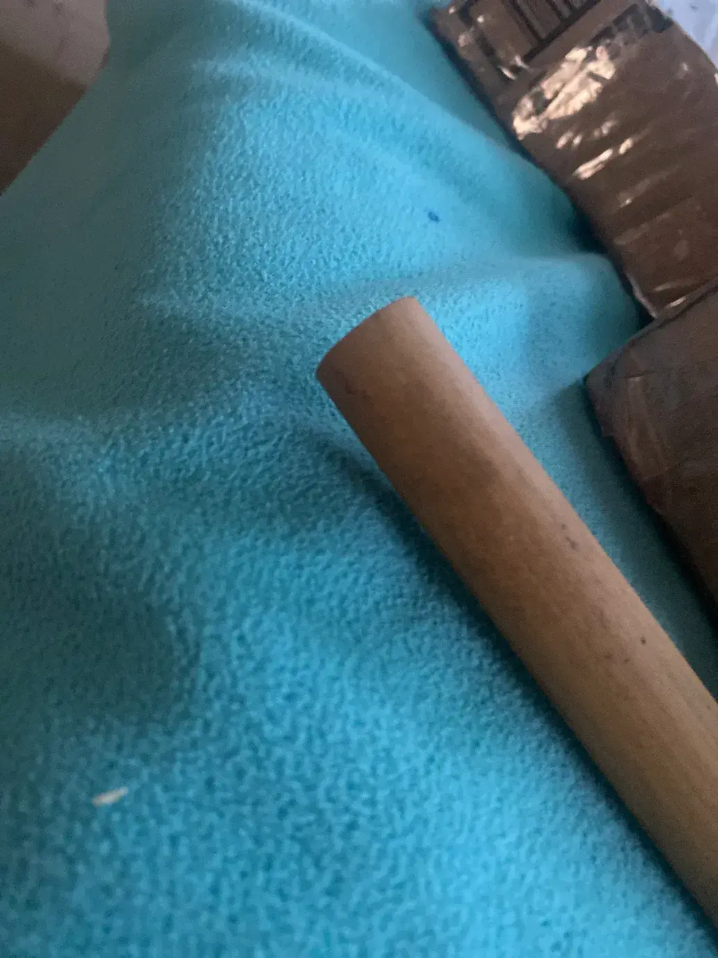 NosyKea0532의 Elara and Dante