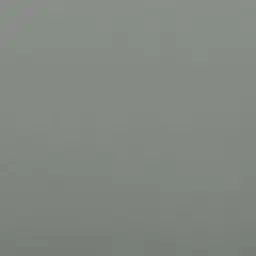 Profile image of Na Hwajin