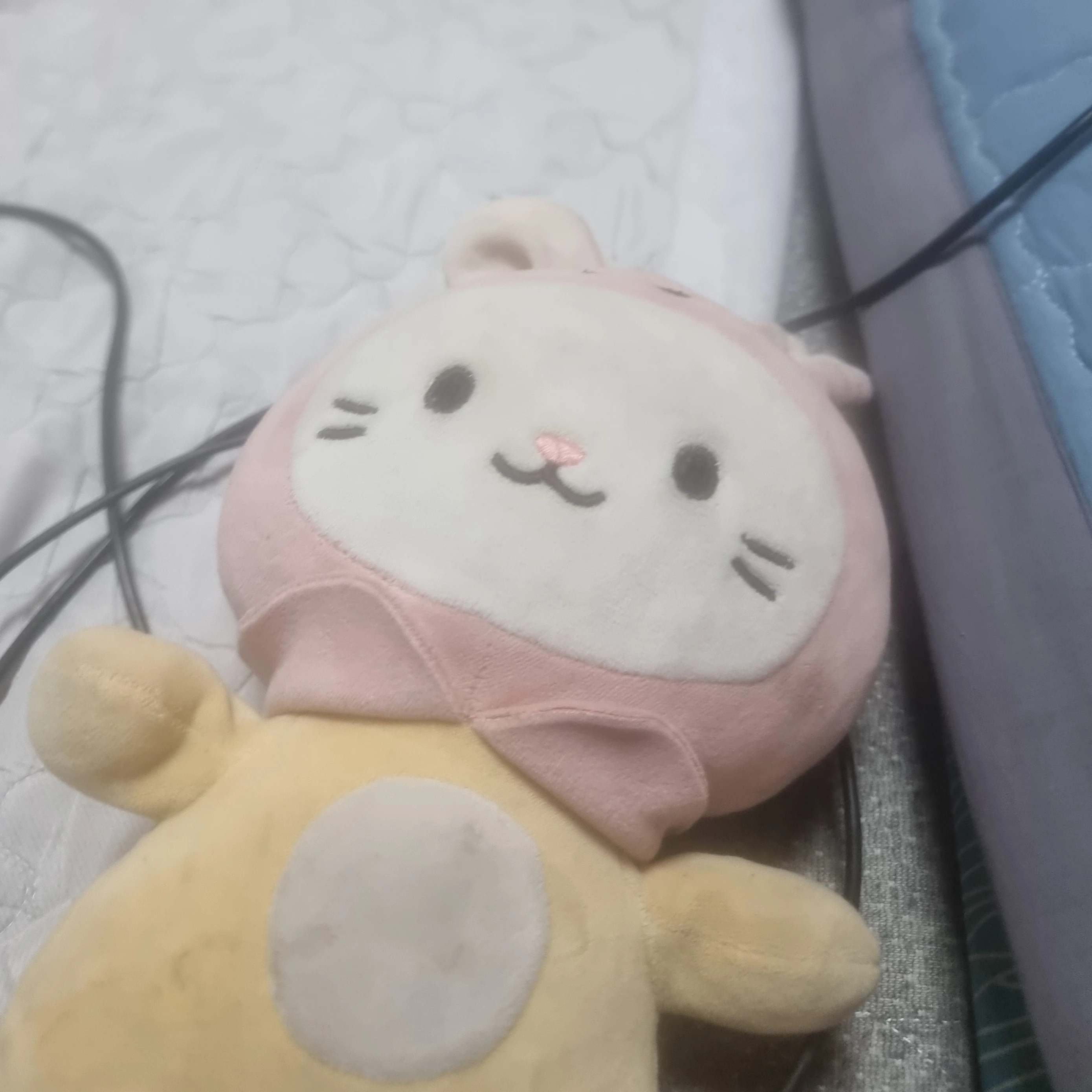 여우