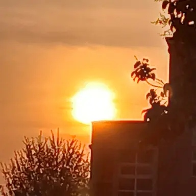 Profile image of 공룡