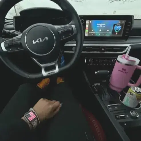 VastVirus3807의 car ride