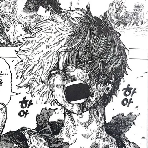 SaltyStove2564의 빌런과 싸우다가 칼이 배를 찌른 쇼토