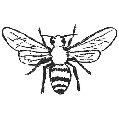Profile image of ハチ