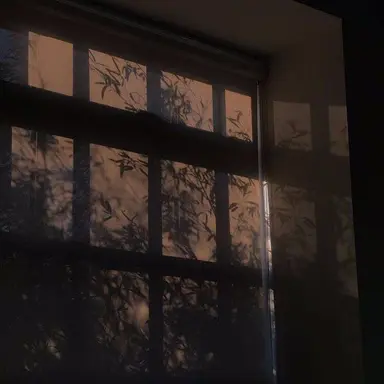 Profile image of 이용복