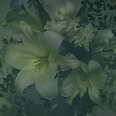 Profile image of 르네