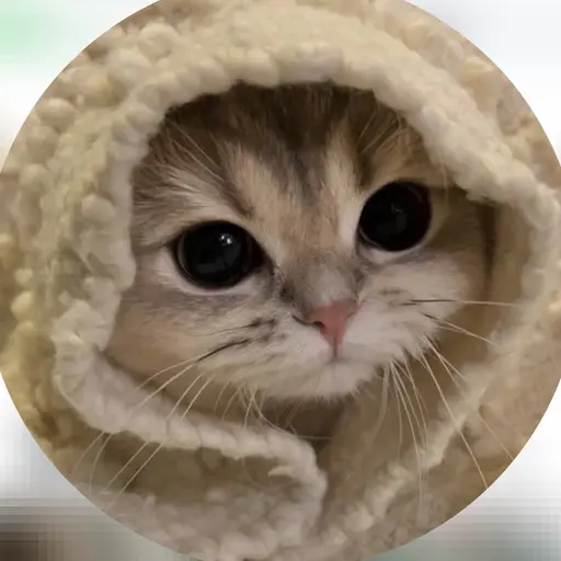 FlushGuppy4921의 현빙띠