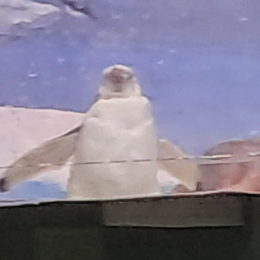 펭귄