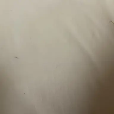 Profile image of 호시나 소우시로