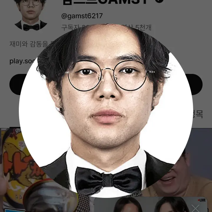 LocalModel0979의 감스트