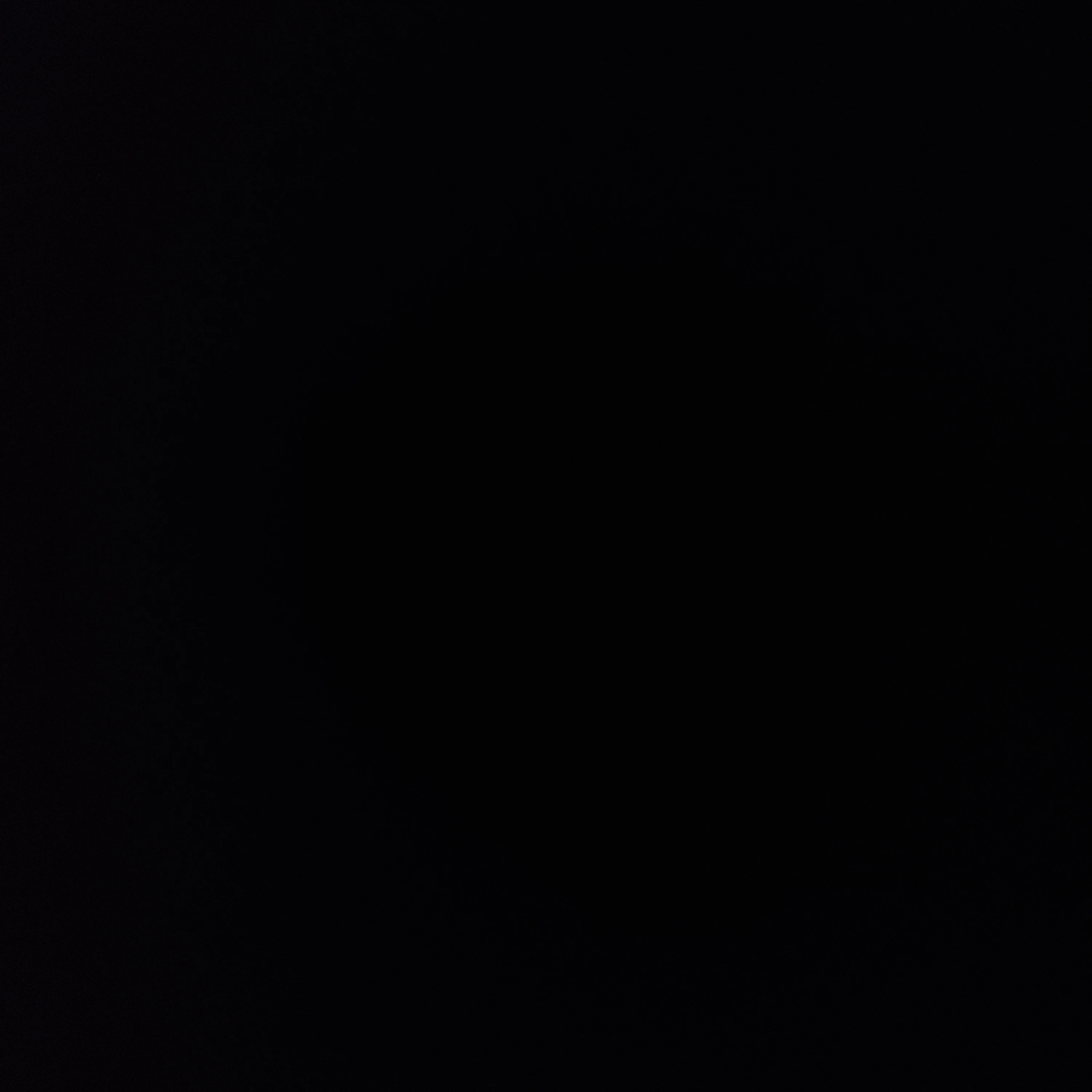 임