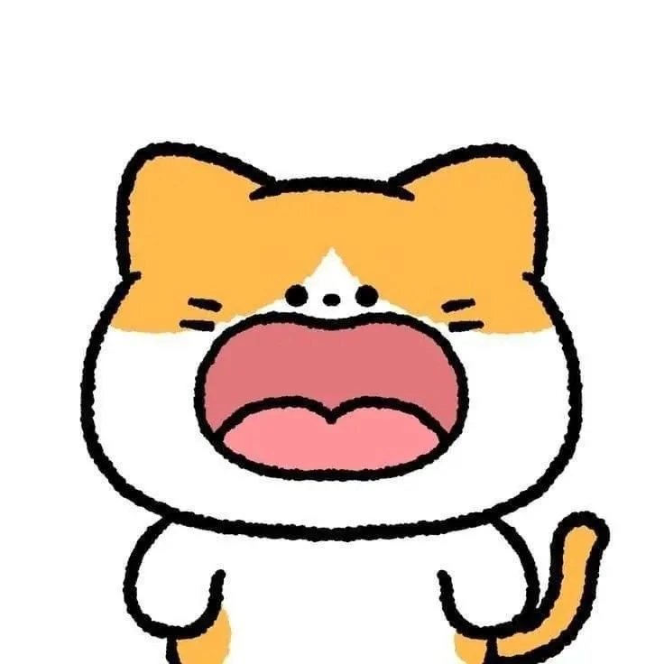 고양이