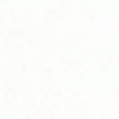 Profile image of 박 성 호