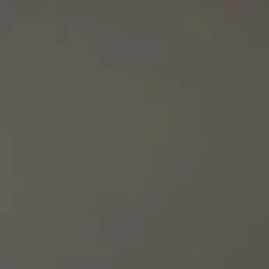 Profile image of 왕