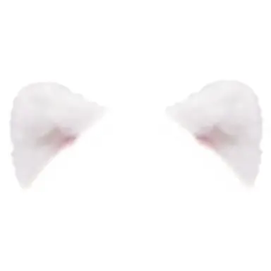 Profile image of 노아