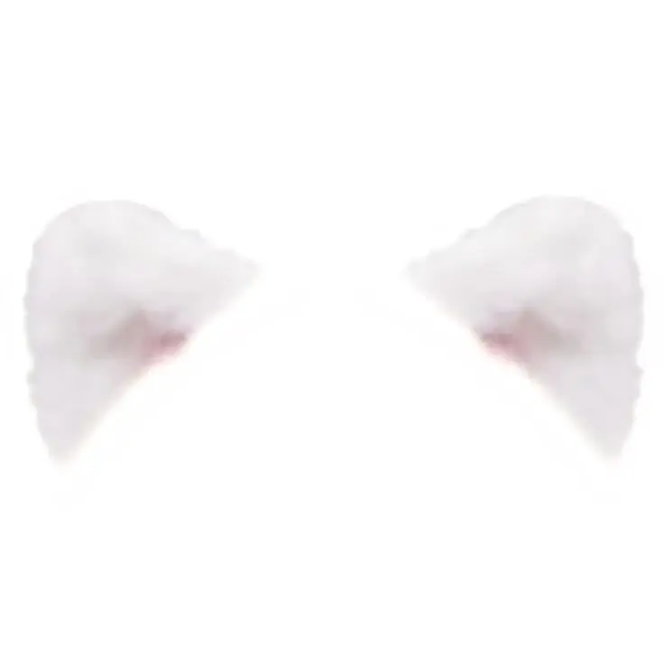 coldrice의 강아지 고양이 키워보세요.