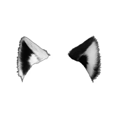Profile image of 노르