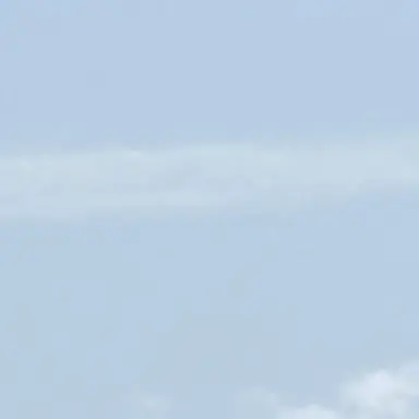 Profile image of 野村祐希