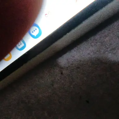 Profile image of 학교