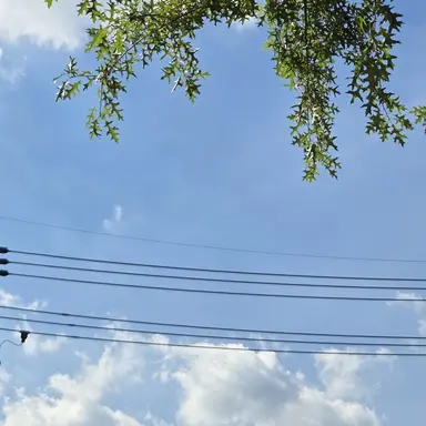 Profile image of 잠뜰