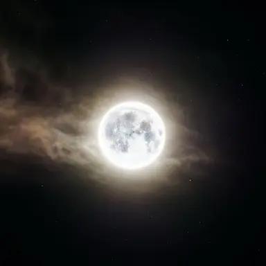 Profile image of 한 운