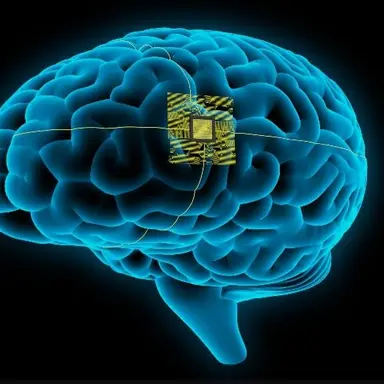 Profile image of BRAIN-MATES.lab_prey.prog