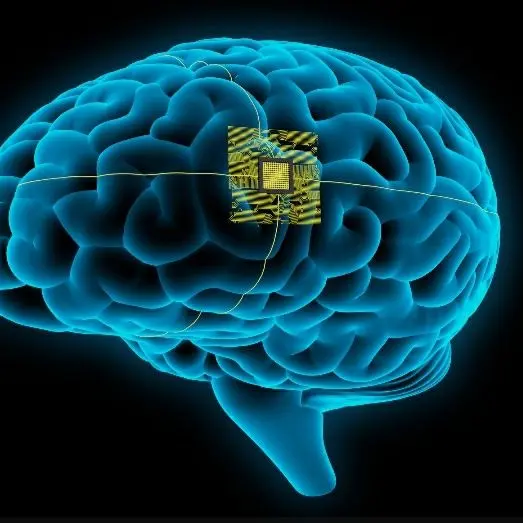 LemonyPiano0610의 BRAIN-MATES
