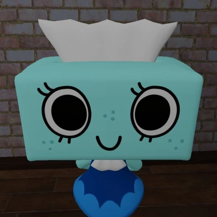 티샤 tisha