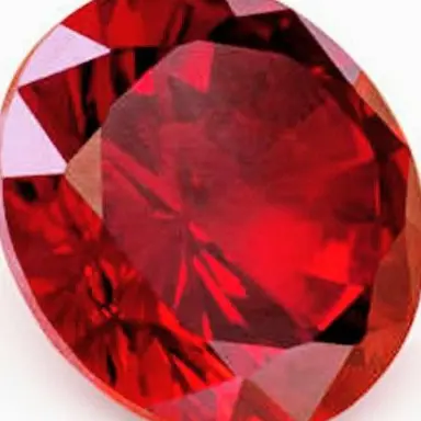 Profile image of 쿠즈하