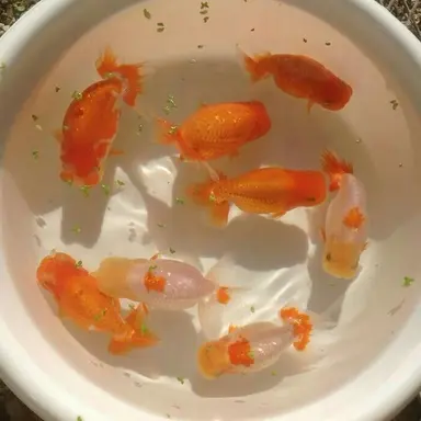 Profile image of 박영환