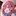 サクラ