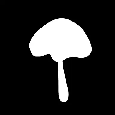 Profile image of Ticket