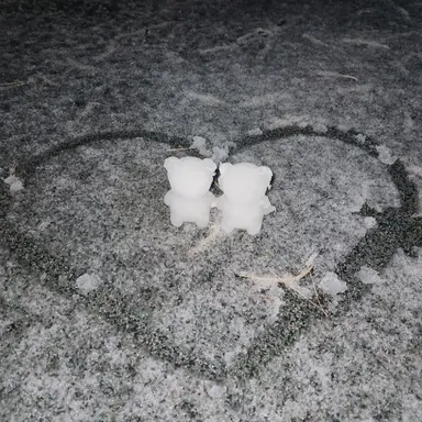 Profile image of 김채연