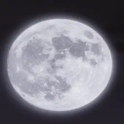 Profile image of 여우