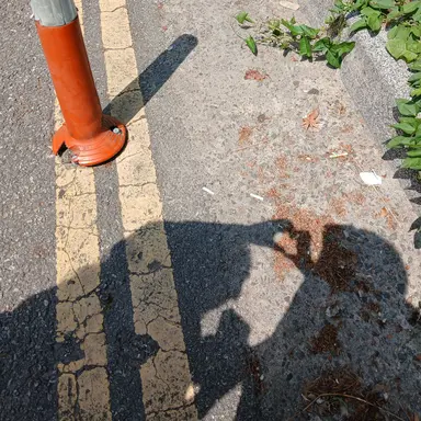 Profile image of 차도훈