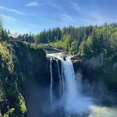 Profile image of Avery Lin