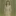 카이렌