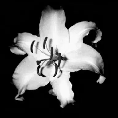 Profile image of 青夜