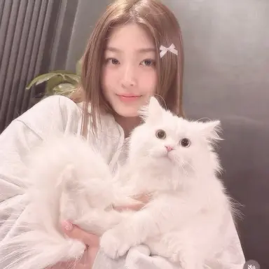 Profile image of Yoonchae