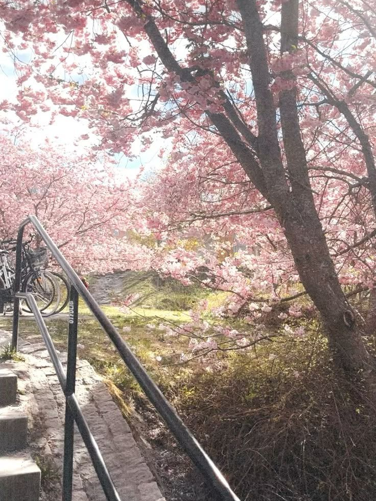 택산고교 호스트부! 대표 이미지