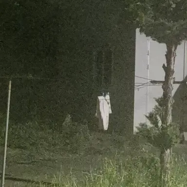 Profile image of 유신