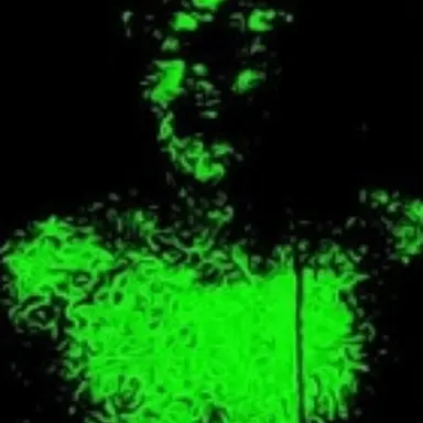 Profile image of 그롤루시암