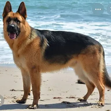 Profile image of Brecken
