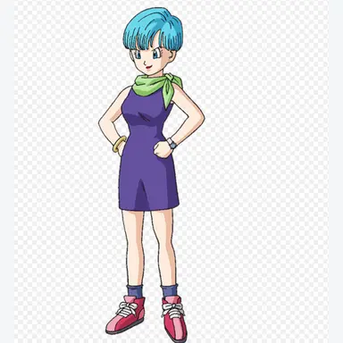 Profile image of ブルマ