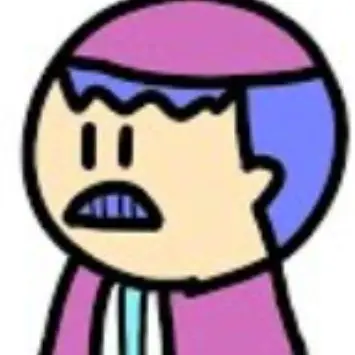 Profile image of Steinu
