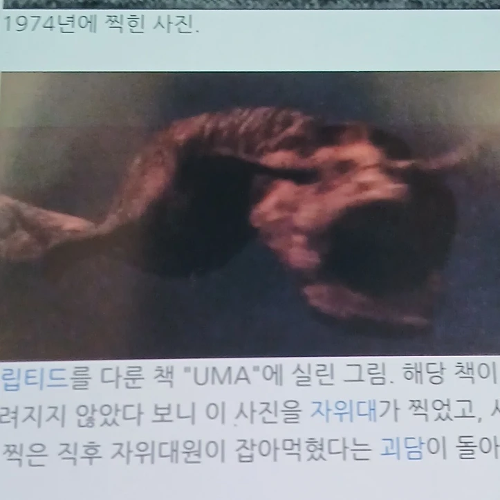 쿠시
