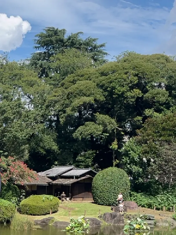 geeee의 。