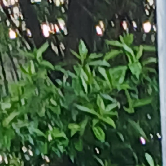 한수혁