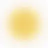 Profile image of シャオロン