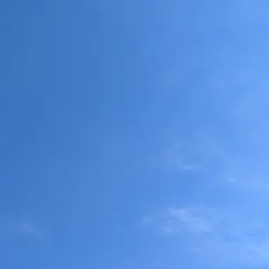 Profile image of まふ